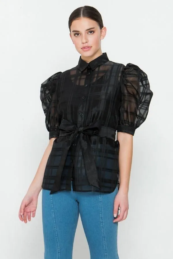 A See-thru Mini Length Organza Top